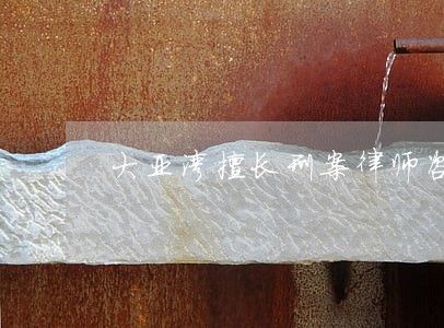 大亚湾擅长刑案律师咨询 大亚湾擅长刑案律师咨询