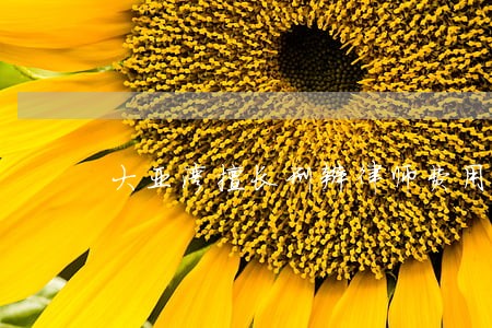 大亚湾擅长刑辩律师费用 大亚湾擅长刑辩律师费用