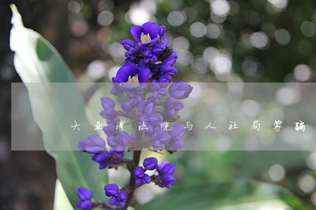 大亚湾法院与人社局蒙骗你们 大亚湾法院与人社局蒙骗你们