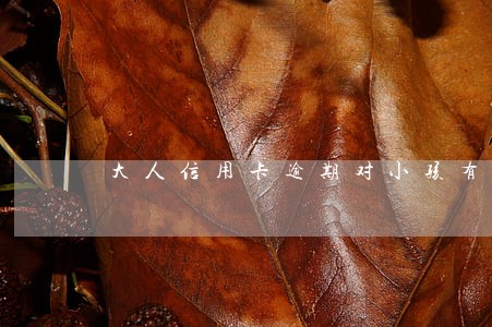 大人信用卡逾期对小孩有影响吗