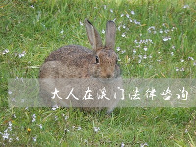 大人在澳门法律咨询