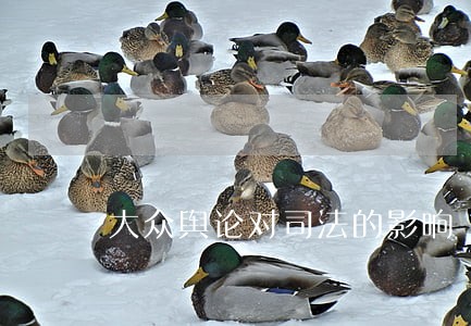 大众舆论对司法的影响