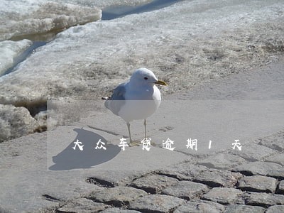 大众车贷逾期1天 大众车贷逾期1天