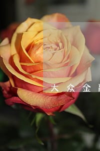 大众金融逾期1天上征信吗 大众金融逾期1天上征信吗