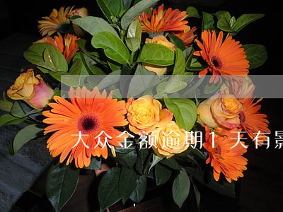 大众金额逾期1天有影响吗 大众金额逾期1天有影响吗