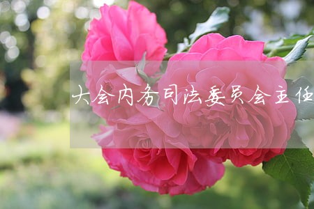 大会内务司法委员会主任 大会内务司法委员会主任