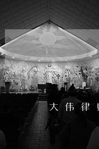 大伟律师 大伟律师