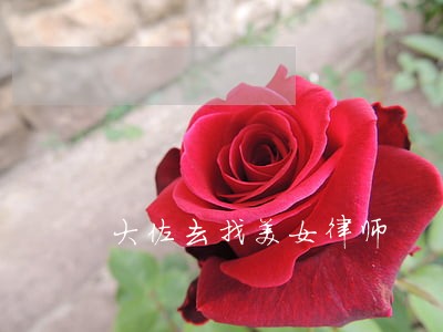 大佐去找美女律师 大佐去找美女律师