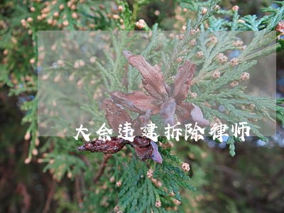 大余违建拆除律师