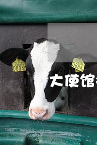 大使馆会提供法律援助吗 大使馆会提供法律援助吗