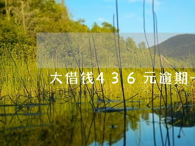 大借钱436元逾期一天多少钱 大借钱436元逾期一天多少钱