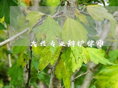 大兴专业辩护律师 大兴专业辩护律师