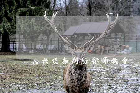 大兴债务纠纷律师收费 大兴债务纠纷律师收费