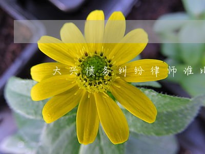 大兴债务纠纷律师谁比较好 大兴债务纠纷律师谁比较好