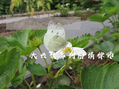 大兴债务纠纷请律师 大兴债务纠纷请律师
