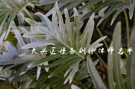 大兴区债务纠纷律师名单电话 大兴区债务纠纷律师名单电话