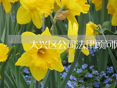 大兴区公司法律顾问网 大兴区公司法律顾问网