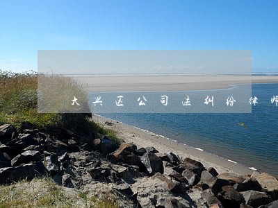 大兴区公司法纠纷律师 大兴区公司法纠纷律师
