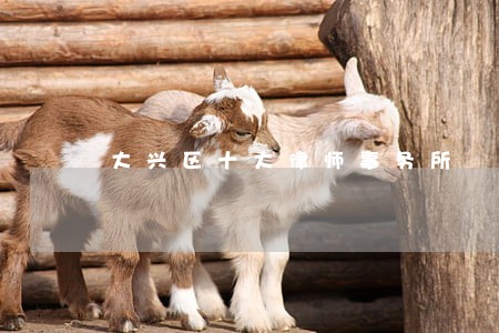 大兴区十大律师事务所 大兴区十大律师事务所