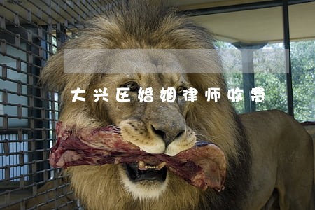 大兴区婚姻律师收费 大兴区婚姻律师收费