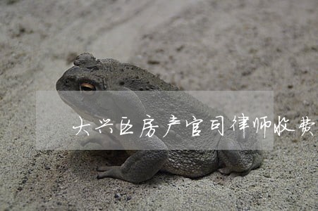 大兴区房产官司律师收费