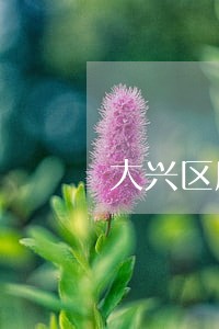 大兴区房产遗嘱律师怎么收费 大兴区房产遗嘱律师怎么收费