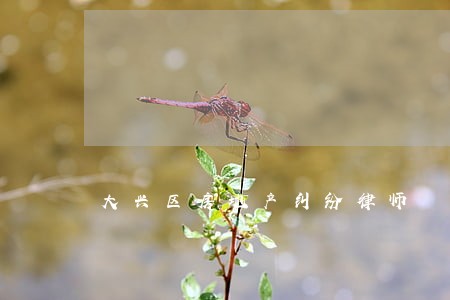 大兴区房地产纠纷律师 大兴区房地产纠纷律师