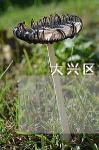 大兴区拆迁赔偿官司律师收费标准 大兴区拆迁赔偿官司律师收费标准