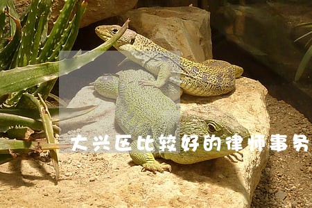 大兴区比较好的律师事务所 大兴区比较好的律师事务所