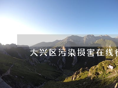 大兴区污染损害在线律师 大兴区污染损害在线律师