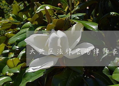 大兴区法律咨询律师在线 大兴区法律咨询律师在线