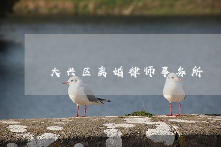 大兴区离婚律师事务所 大兴区离婚律师事务所
