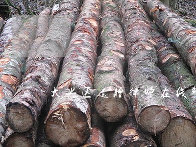 大兴区遗赠律师在线解答 大兴区遗赠律师在线解答