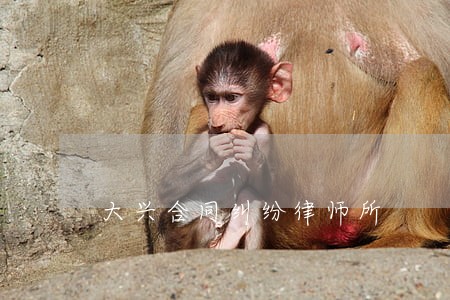 大兴合同纠纷律师所 大兴合同纠纷律师所