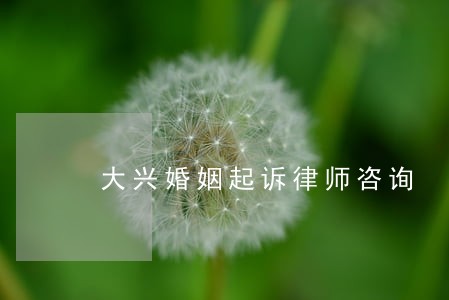 大兴婚姻起诉律师咨询 大兴婚姻起诉律师咨询