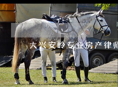 大兴安岭专业房产律师所 大兴安岭专业房产律师所