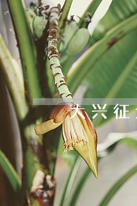 大兴征地拆迁专业律师 大兴征地拆迁专业律师