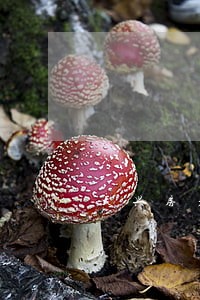 大兴房产合同律师哪家好 大兴房产合同律师哪家好