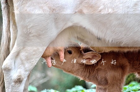 大兴房产律师哪个好 大兴房产律师哪个好