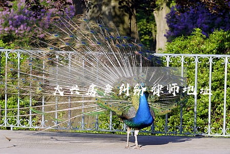 大兴房产纠纷律师地址 大兴房产纠纷律师地址