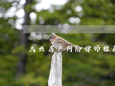 大兴房产纠纷律师推荐 大兴房产纠纷律师推荐