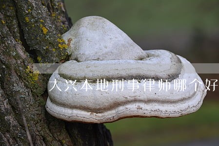 大兴本地刑事律师哪个好 大兴本地刑事律师哪个好