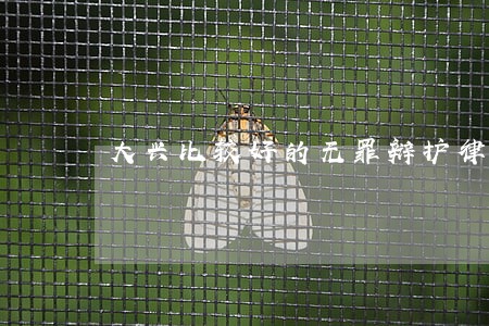 大兴比较好的无罪辩护律师 大兴比较好的无罪辩护律师
