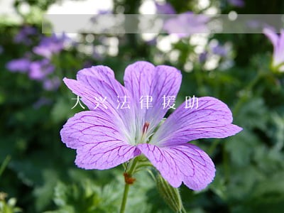 大兴法律援助