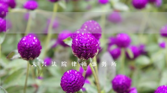 大兴法院律师事务所 大兴法院律师事务所