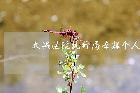 大兴法院执行局李辉个人简历 大兴法院执行局李辉个人简历