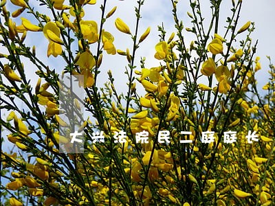 大兴法院民二庭庭长 大兴法院民二庭庭长