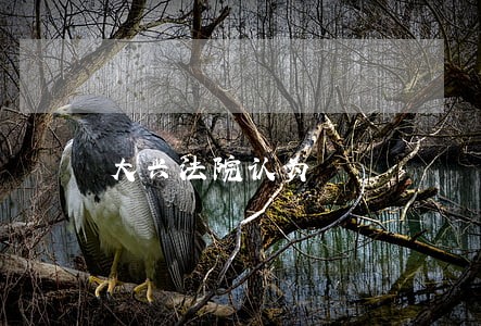 大兴法院认为 大兴法院认为