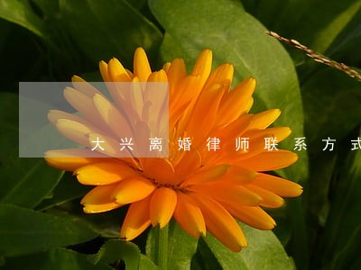 大兴离婚律师联系方式 大兴离婚律师联系方式