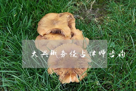 大兴职务侵占律师咨询 大兴职务侵占律师咨询